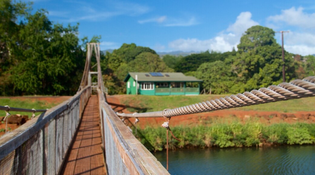 สะพานลิง ซึ่งรวมถึง แม่น้ำหรือลำธาร, บ้าน และ สะพาน