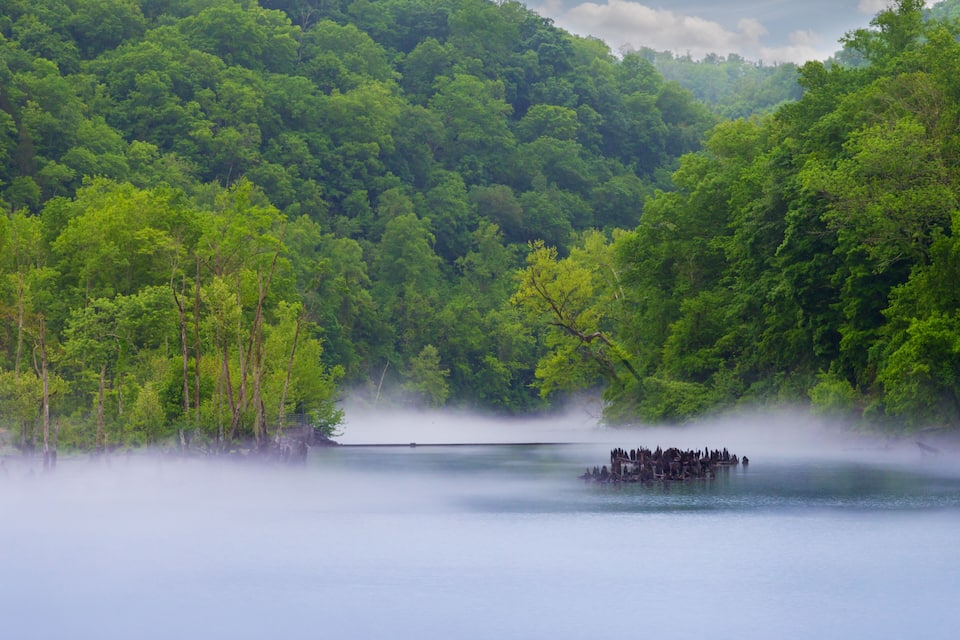 A lake surrounded by dense forest with a small group of people on a dock.
