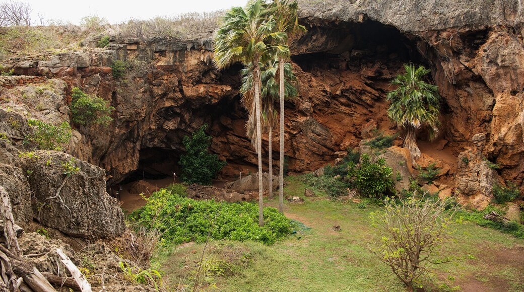 Reserva de la cueva de Makauwahi