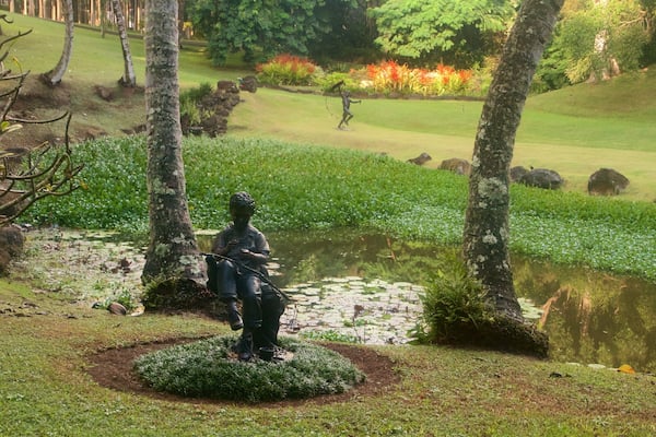 Jardines Botánicos Na Aina Kai mostrando arte al aire libre, un estanque y un jardín