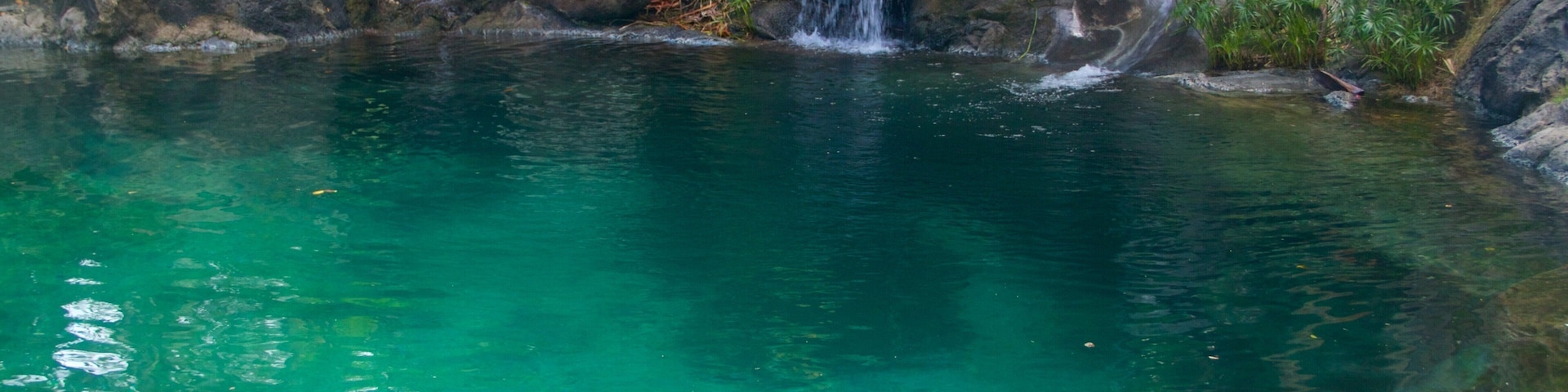 Jardines Botánicos Na Aina Kai mostrando un lago o espejo de agua