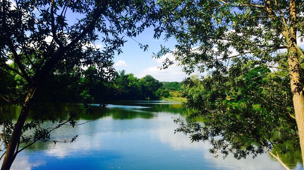 Yasnaya Polyana, home of the great Russian writer, Lev Tolstoi.