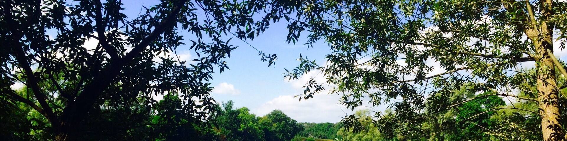 Yasnaya Polyana, home of the great Russian writer, Lev Tolstoi.