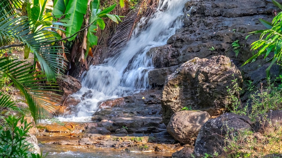 Jardin botanique de Princeville