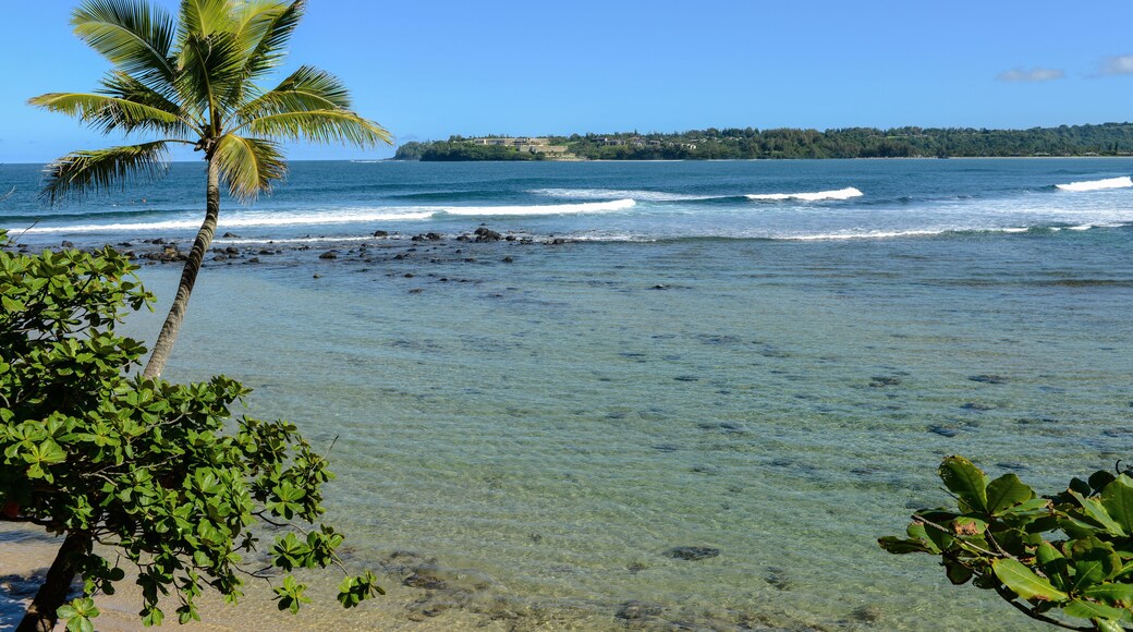 Tropical Coast - A hideaway beach and crystal-clear lagoon at Hanalei Bay on the north shore of Kauai, Hawaii, USA.