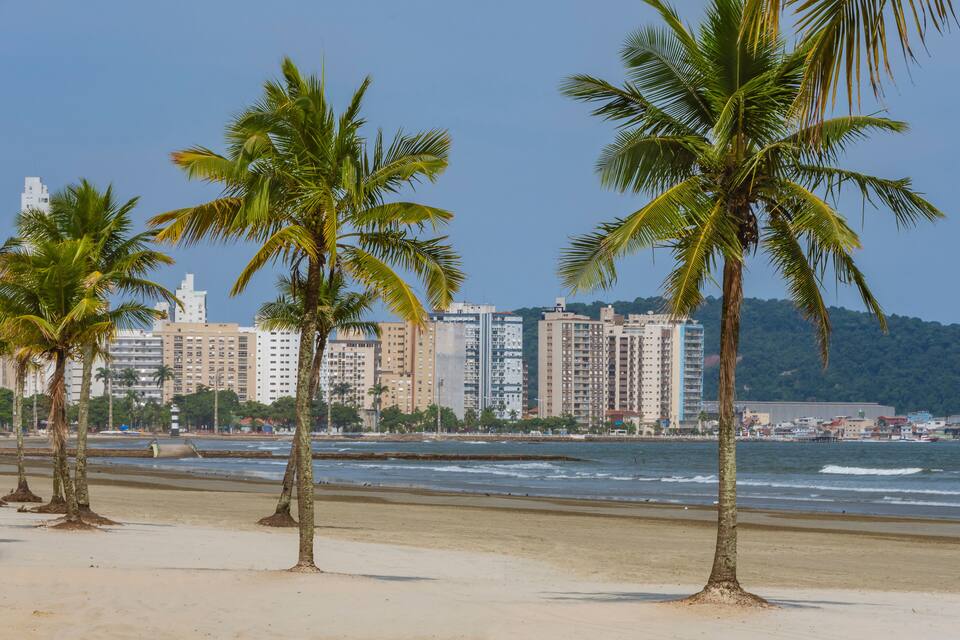 A beach with palm trees and a cityscape in the background.