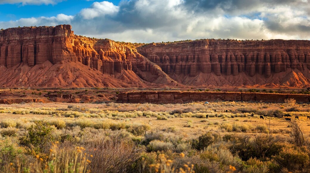 American Southwest Desert Landscape. Classic eroded Navaho sandstone bluffs and blue skies bring up an image of the old west. This is especially true here in Torrey, Utah, near Capitol Reef Park.