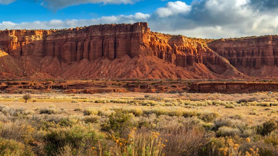 A desert landscape with red rock formations and sparse vegetation.