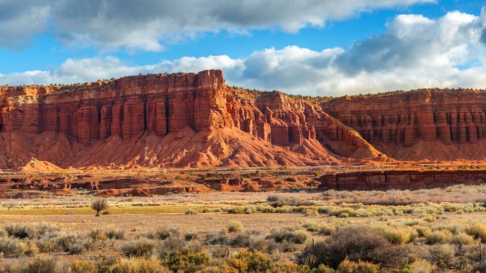 A desert landscape with red rock formations and sparse vegetation.
