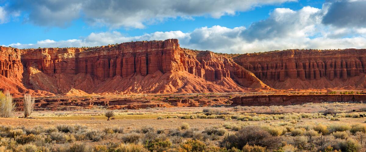 A desert landscape with red rock formations and sparse vegetation.