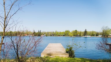 A wooden dock extending into a calm lake surrounded by trees and houses.