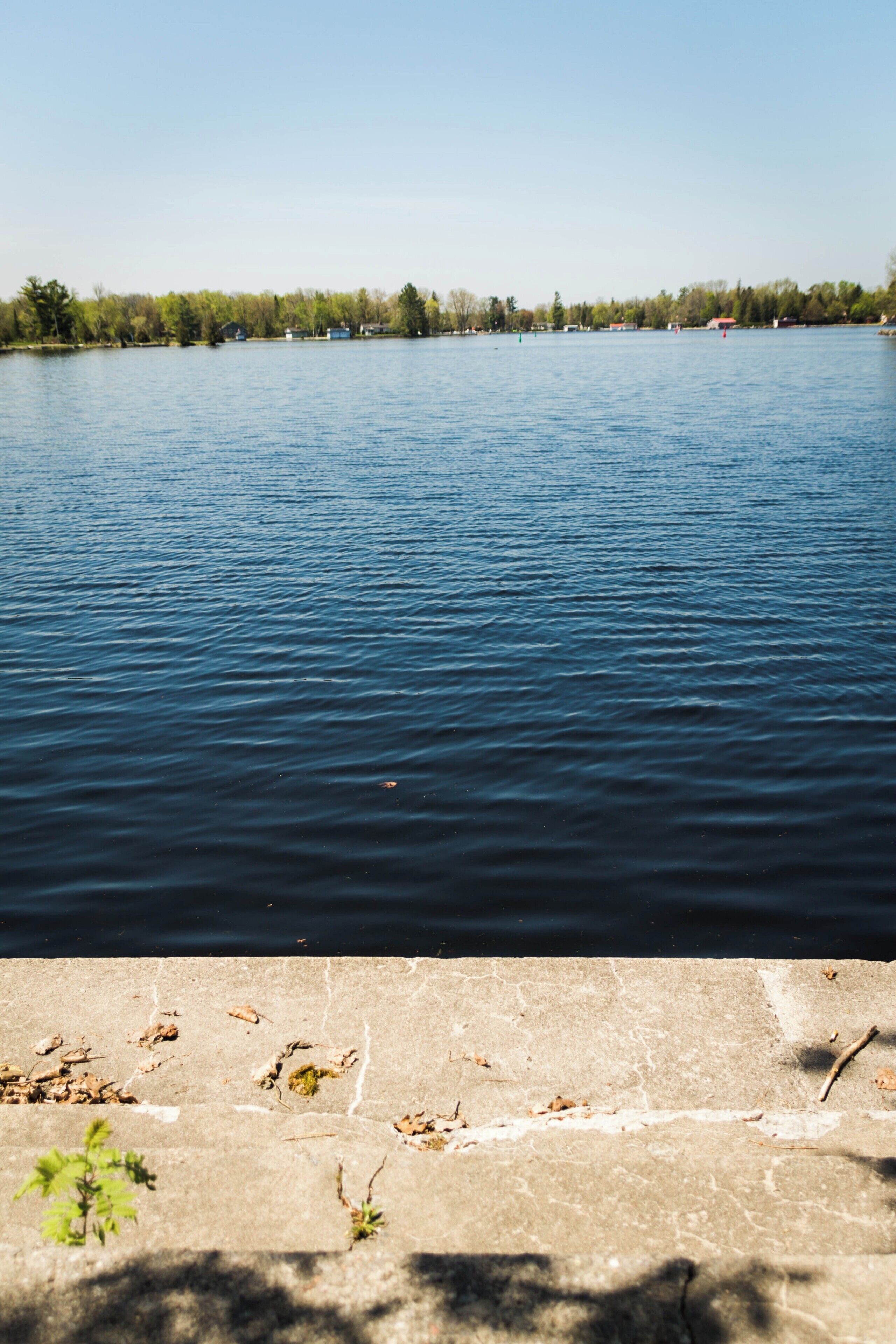 Just off the pathway by lock 32 there are 3 stone steps leading into the water
