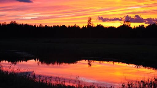 #funspring
#amazingsunset
#iphone