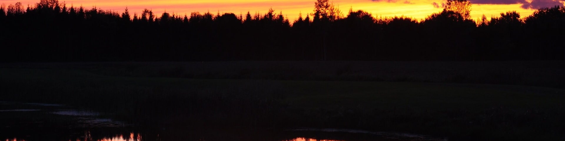 #funspring
#amazingsunset
#iphone