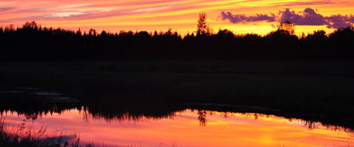 A sunset over a forest with a reflective water body.