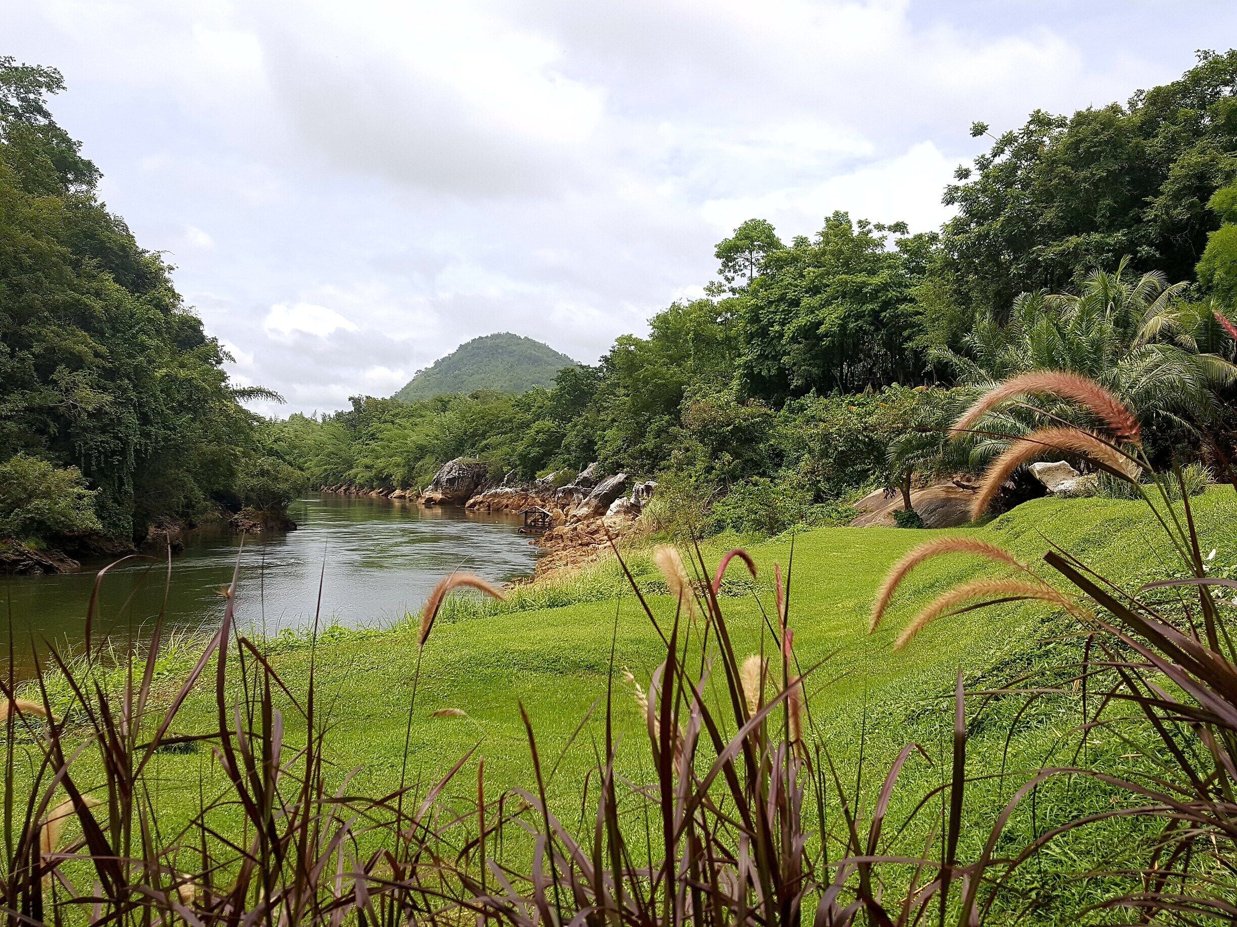 A river flowing through a lush green landscape with dense vegetation and a hill in the background.
