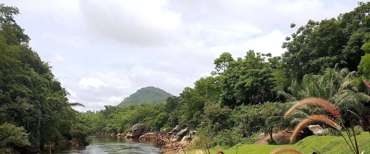 A river flowing through a lush green landscape with dense vegetation and a hill in the background.