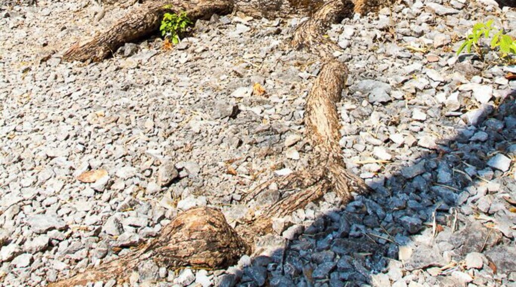 Hellfire Pass Memorial museum is a somber reminder of what man can do to man. About 2h00 north of Kanchanaburi, it is a worthwhile excursion and walk through the areas that were built by hand by too many prisoners of war to open the Burma-Thailand railway. So many died that it is known as "Death Railway".