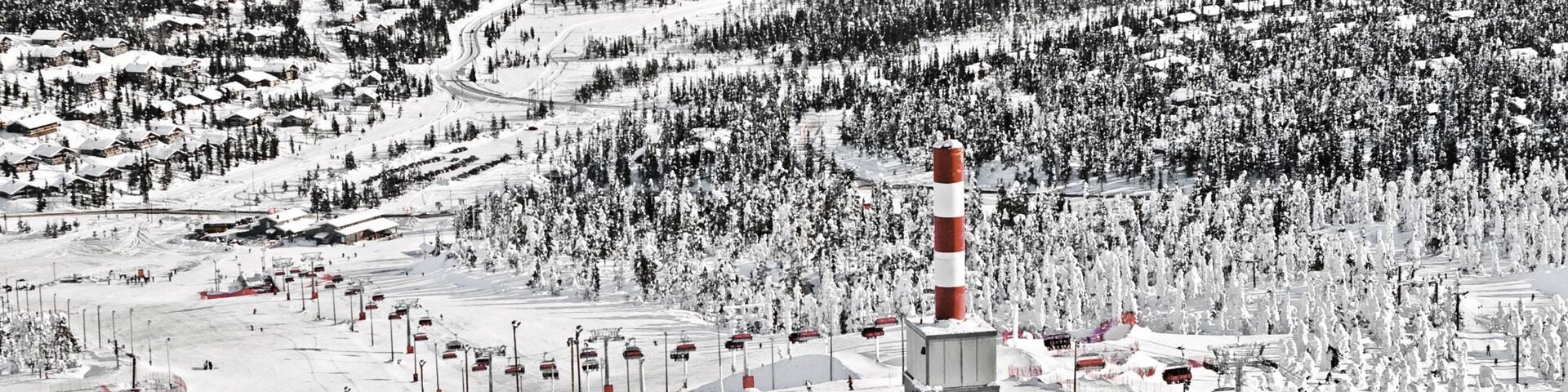 ルカ スキー エリア フィーチャー 森林の風景 と 雪