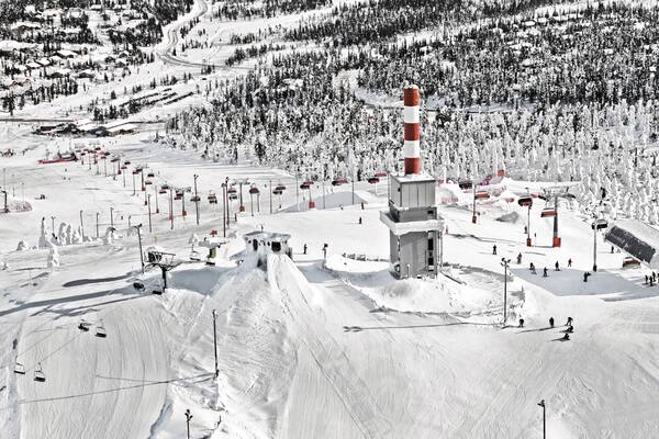 ルカ スキー エリア フィーチャー 森林の風景 と 雪