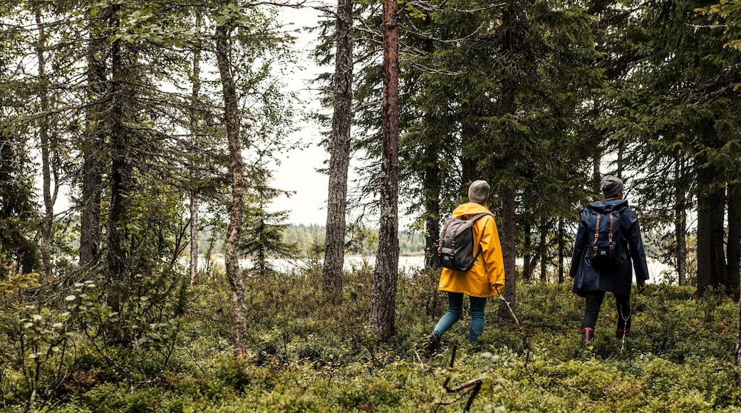 Ruka Ski Area showing hiking or walking, a lake or waterhole and forest scenes