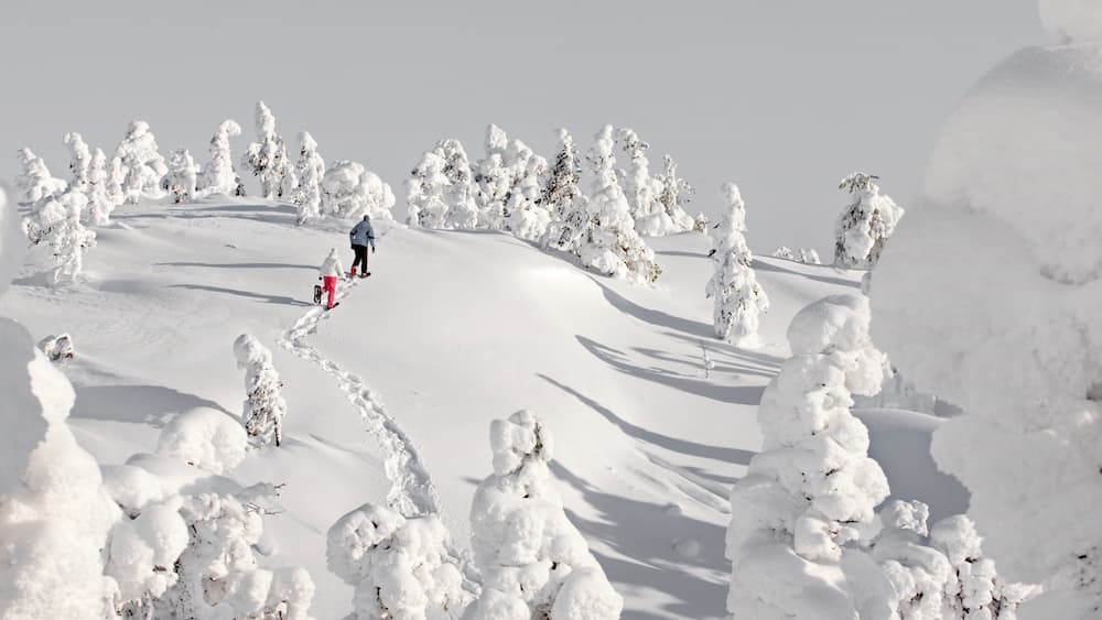 Domaine skiable de Ruka montrant raquettes, randonnée ou marche à pied et neige