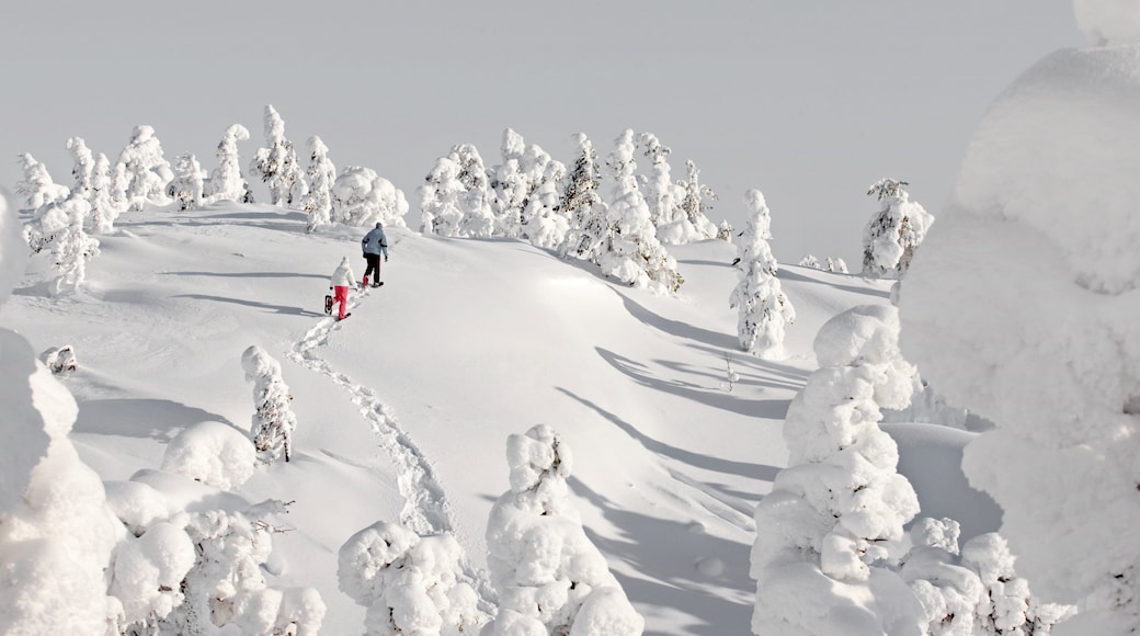 Ruka skiområde som viser vandring eller fottur, snø og trugegåing