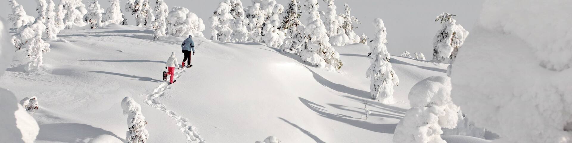 Ruka Ski Area which includes snow, snow shoeing and hiking or walking