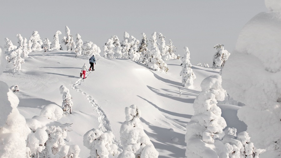 Ruka Ski Area which includes snow, snow shoeing and hiking or walking
