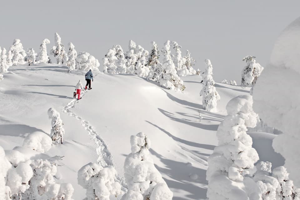 Paisaje nevado de montaña con un sendero y árboles cubiertos de nieve.