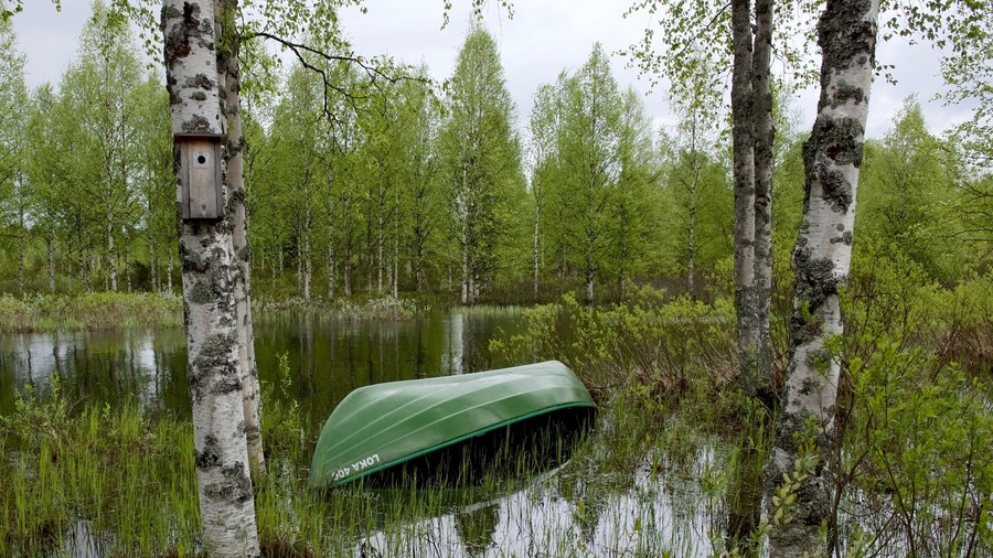 Kuusamo Park featuring a river or creek and forest scenes