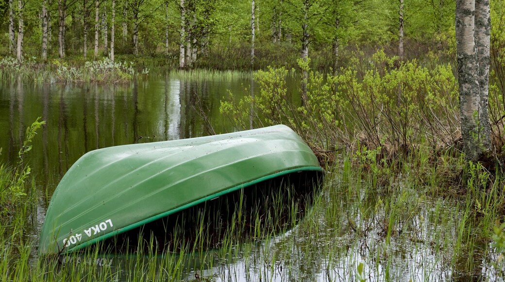 Parque de Kuusamo que incluye un río o arroyo, bosques y kayak o canoa