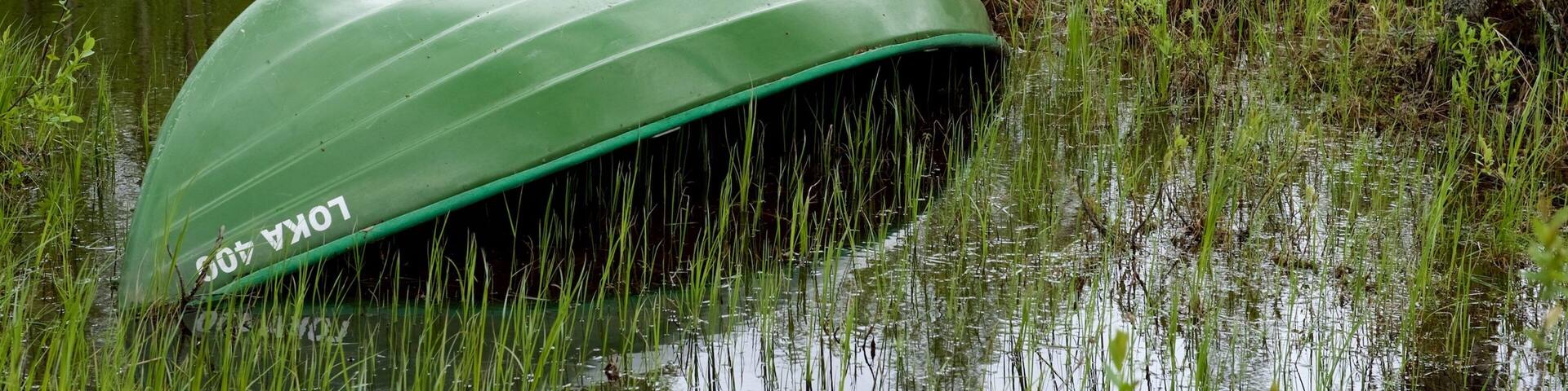 Kuusamo Park which includes a river or creek, forests and kayaking or canoeing