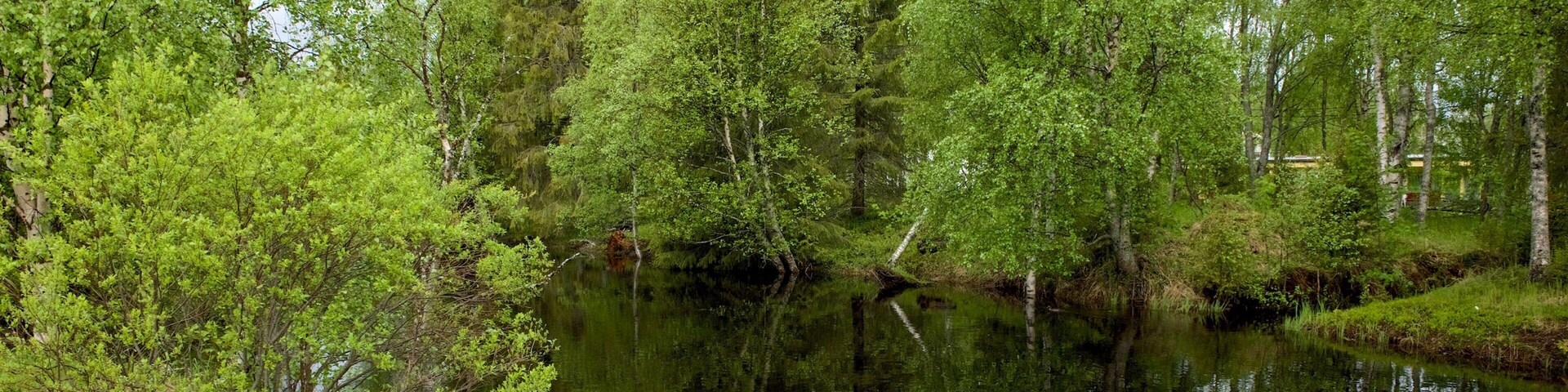 Parque de Kuusamo caracterizando florestas e um rio ou córrego