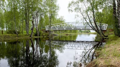 Puisto featuring metsät, silta ja joki tai puro