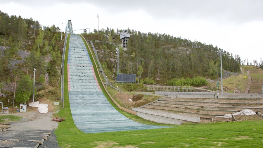盧卡山跳台滑雪山 设有 滑雪