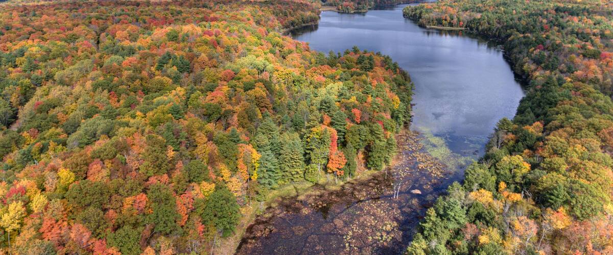 A river winding through a densely forested area with autumn foliage.