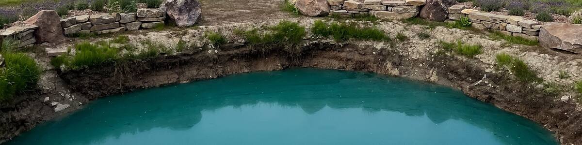 A small pond in the middle of a meadow with purple flowers. Creemore, Ontario, Canada.