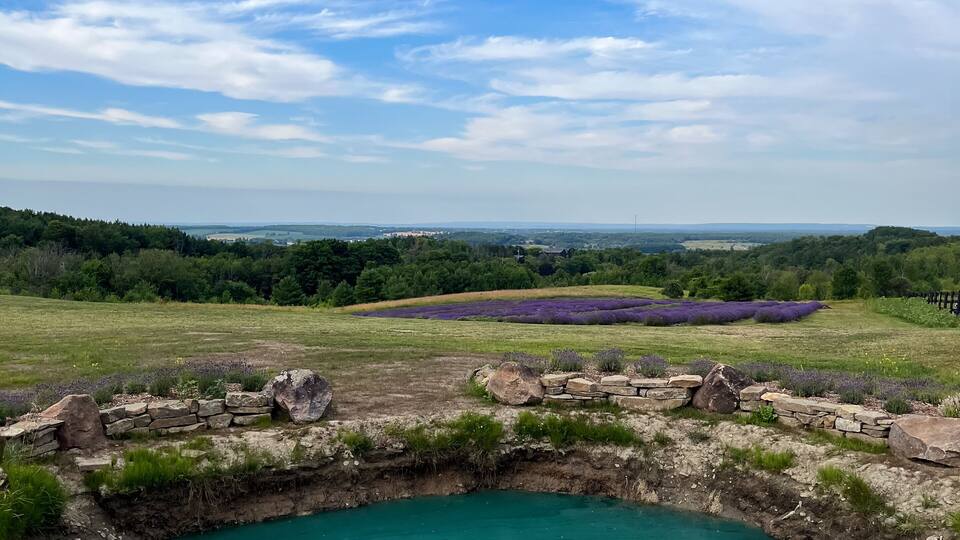 A turquoise pond surrounded by stone walls, with a grassy field and lavender fields in the background.