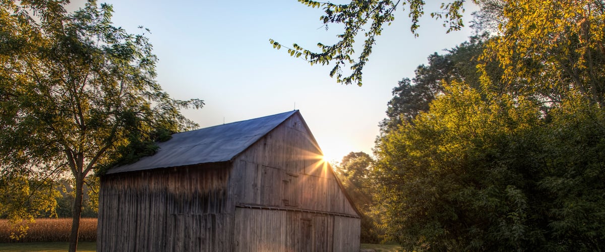 A wooden barn with a sloped roof, surrounded by trees and grass, with the sun setting in the background.
