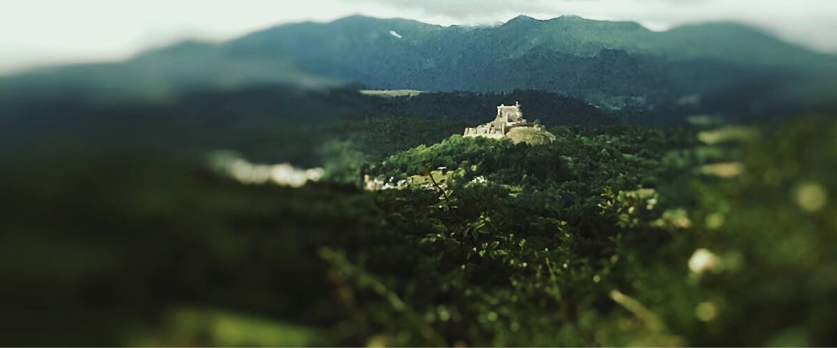 A castle on a hill surrounded by dense forest and mountains.