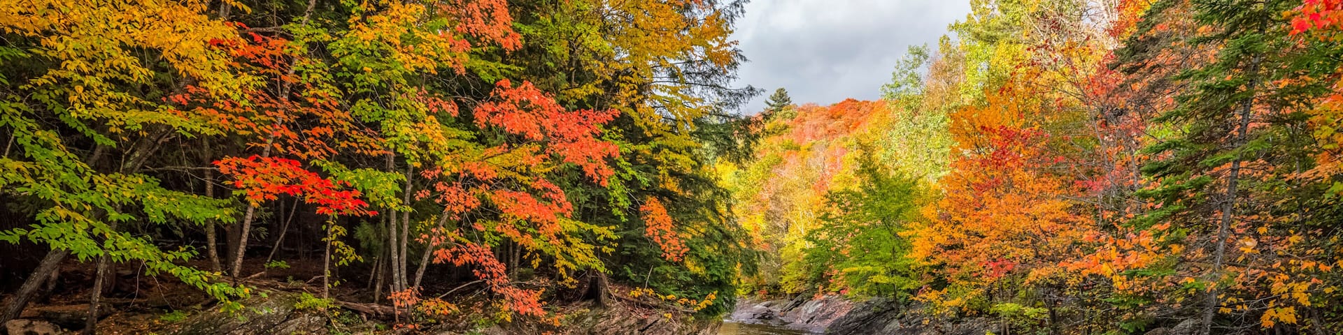 A river flowing through a forest with autumn foliage.