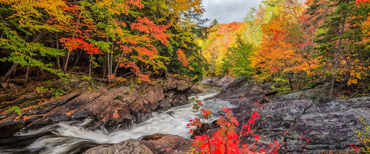 A river flowing through a forest with autumn foliage.