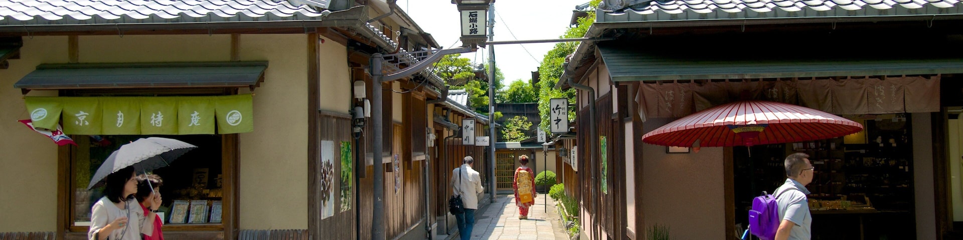 Ishibe Alley mostrando uma casa, uma cidade e arquitetura de patrimônio