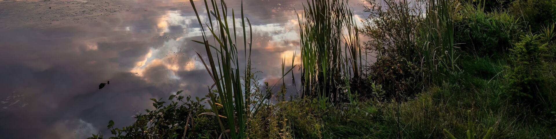 During the summer a sunrise appears across Head Lake in Haliburton, Ontario, Canada