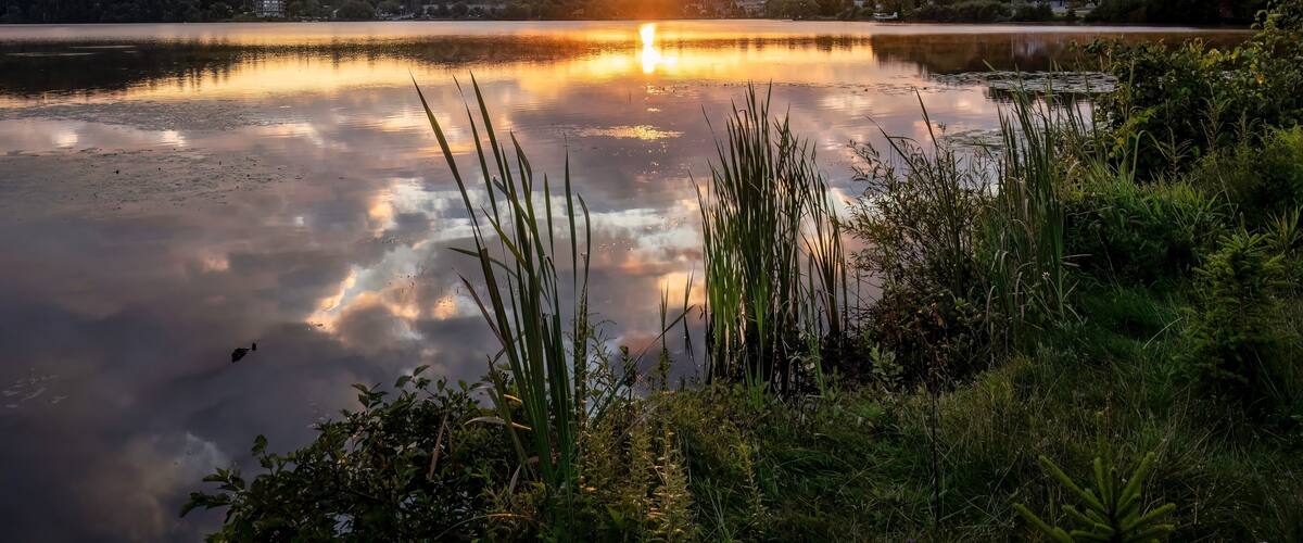 A sunset over a calm lake with reflections, surrounded by greenery and hills.