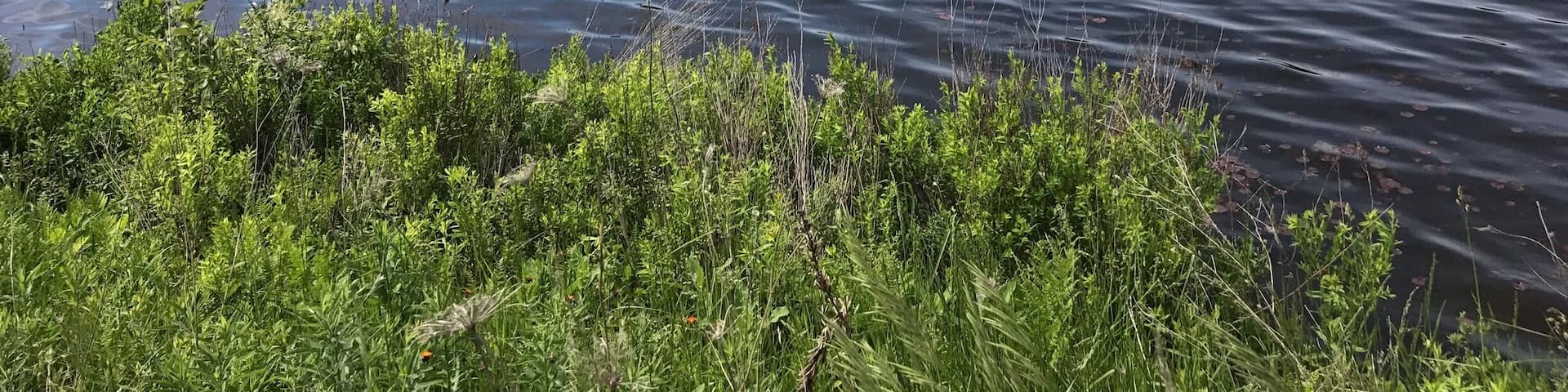 Beautiful Lake in Ontario.