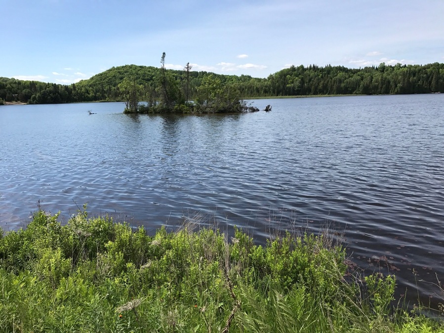 Beautiful Lake in Ontario.