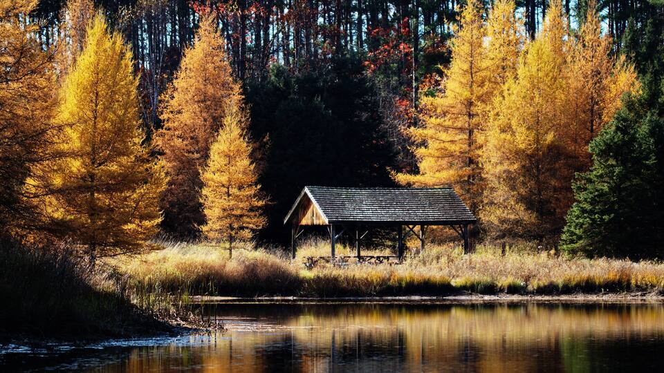A cabin by a calm lake surrounded by autumn-colored trees.