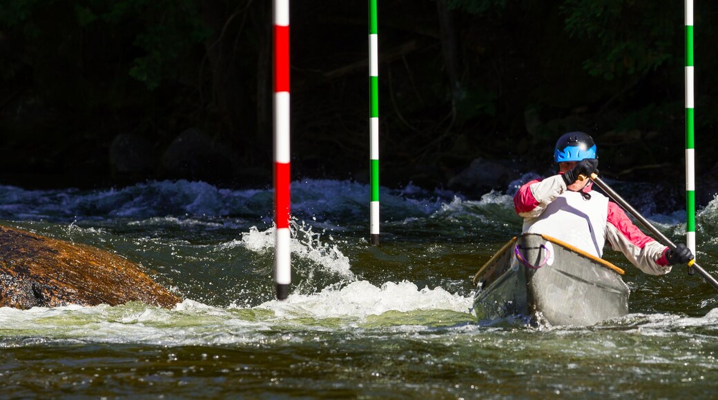 Unidentified paddler steering his canoe through the slalom gates and rapids on Gull River in Minden